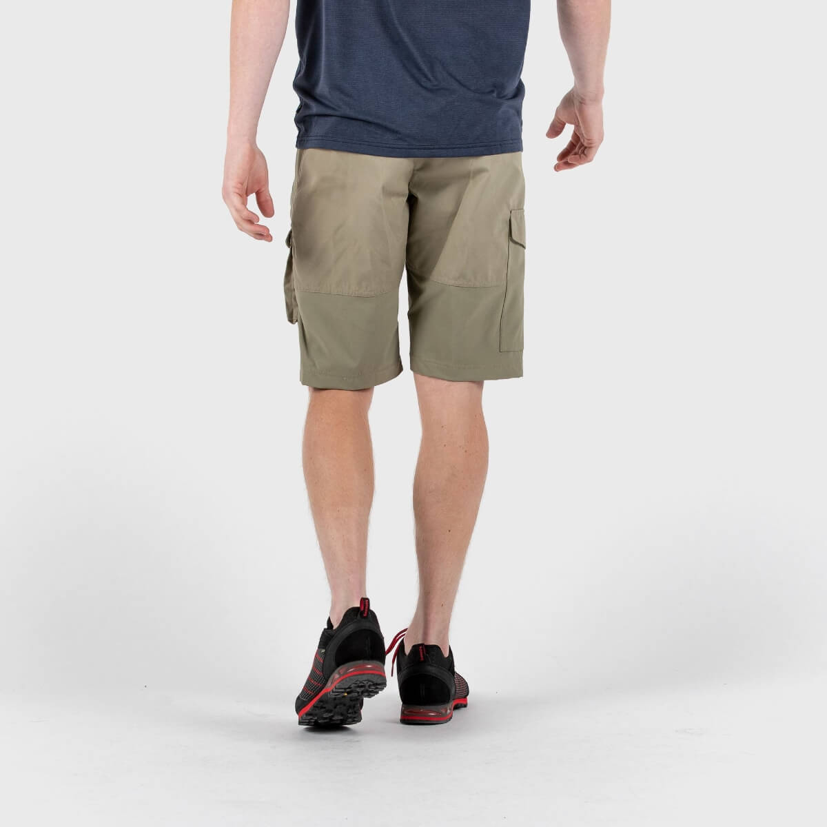 Abisko Shorts