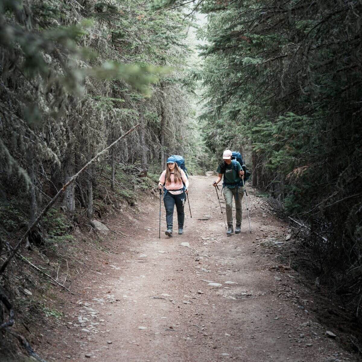 Abisko Hybrid Trail Trs W